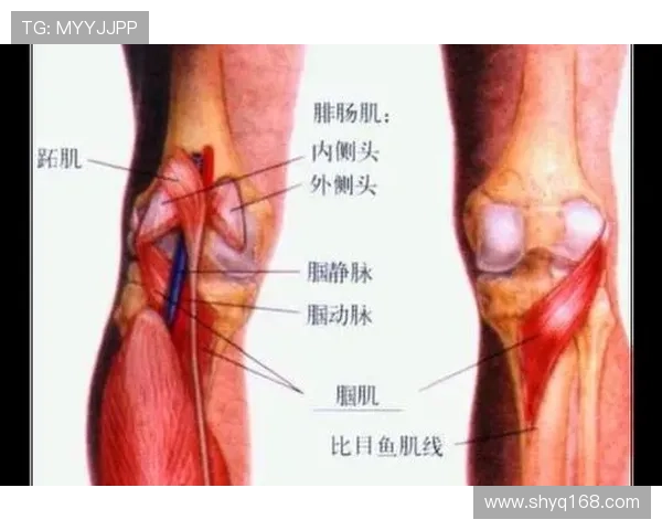 德拉富恩特:加维因是否进行半月板手术而感到沮丧正在等待最终决定 德拉富恩特:加维因是否进行半月板手术而感到沮丧正在等待最终决定